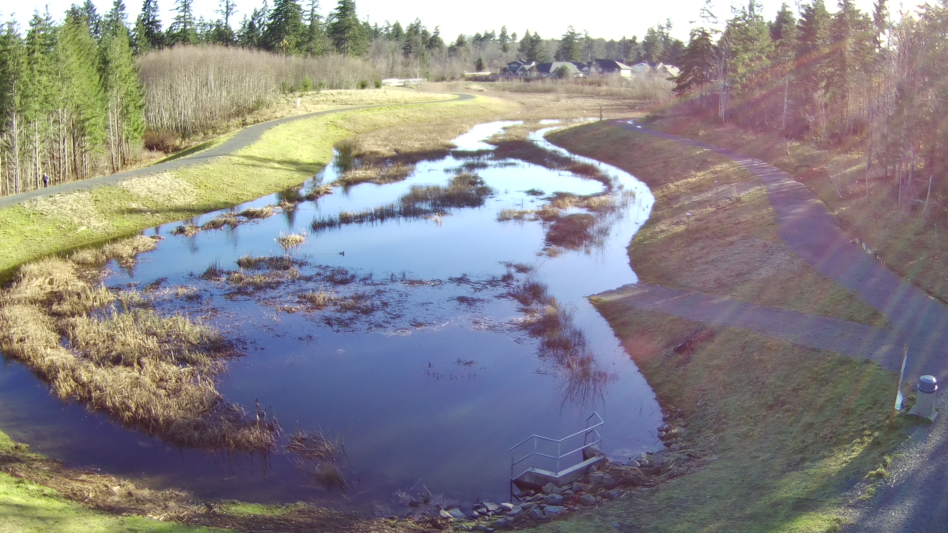 Erickson Road Detention Pond